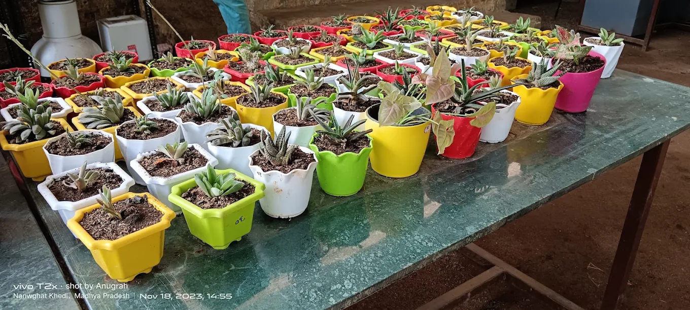 Completed garden setup project at a farmhouse near Barwaha
